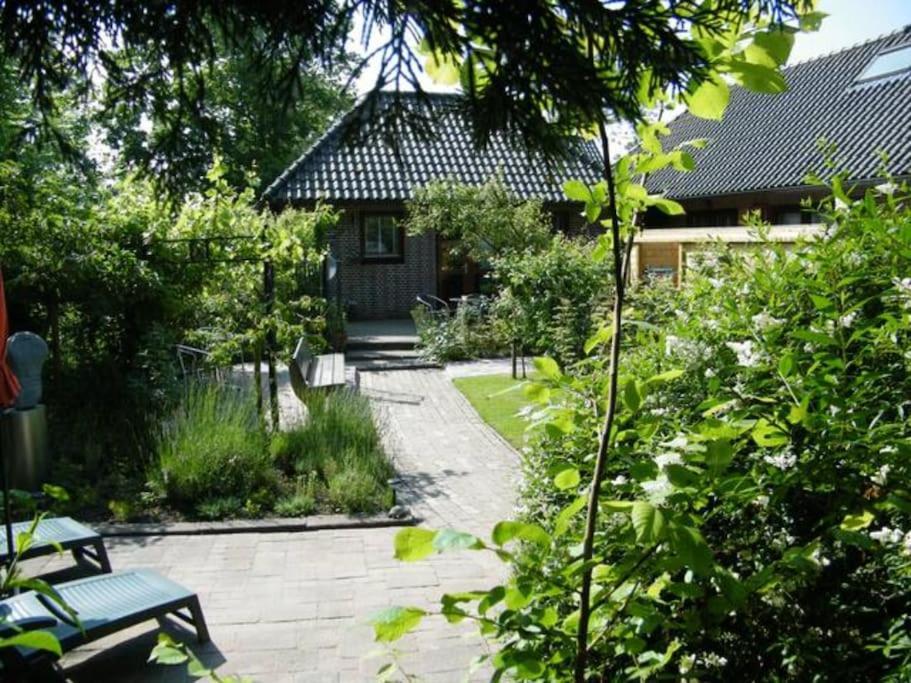 Studio Bed & Strand Scharendijke Kültér fotó